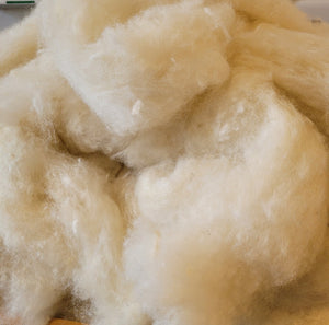 Holy Lamb Organics Wool Scrap 2 Lbs Raw Materials
