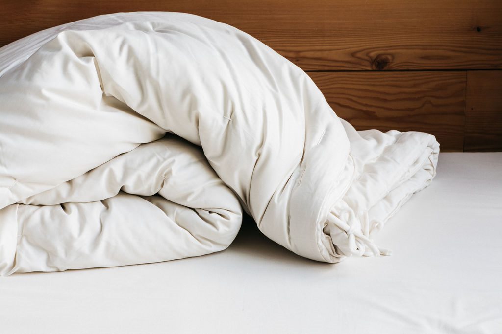 Holy Lamb Organics All-Season Wool Comforter
