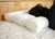 Holy Lamb Organics All-Natural Orthopedic Neck Pillow - Clearance