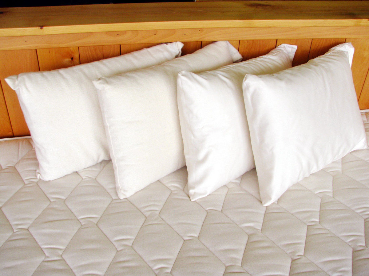 Holy Lamb Organics Travel &amp; Snuggle Pillow - Clearance