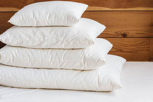 Holy Lamb Organics Organic Wool-filled Bed Pillow - Clearance