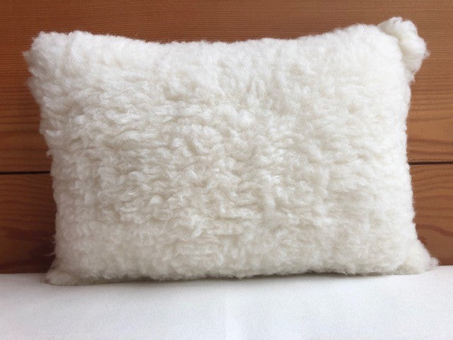 Holy Lamb Organics Child's First Pillow - Clearance